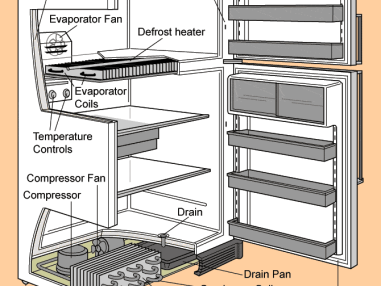 Best OTHER REFRIGERATOR SERVICES