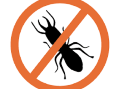 Best Termite Control